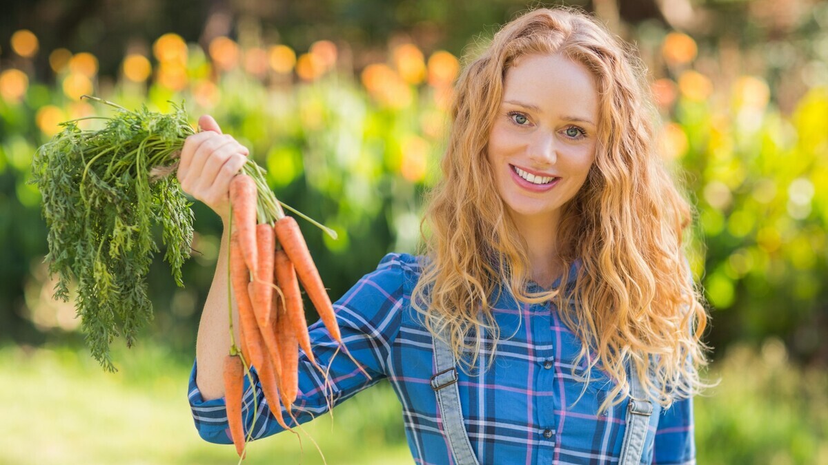 Семена моркови взойдут быстро и дружно: так делают только опытные огородники