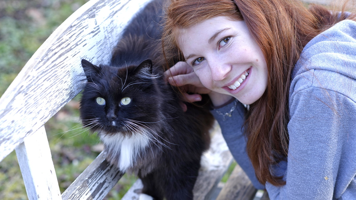 Доктор Мясников рассказал о болезни, которая может передаваться от кошек