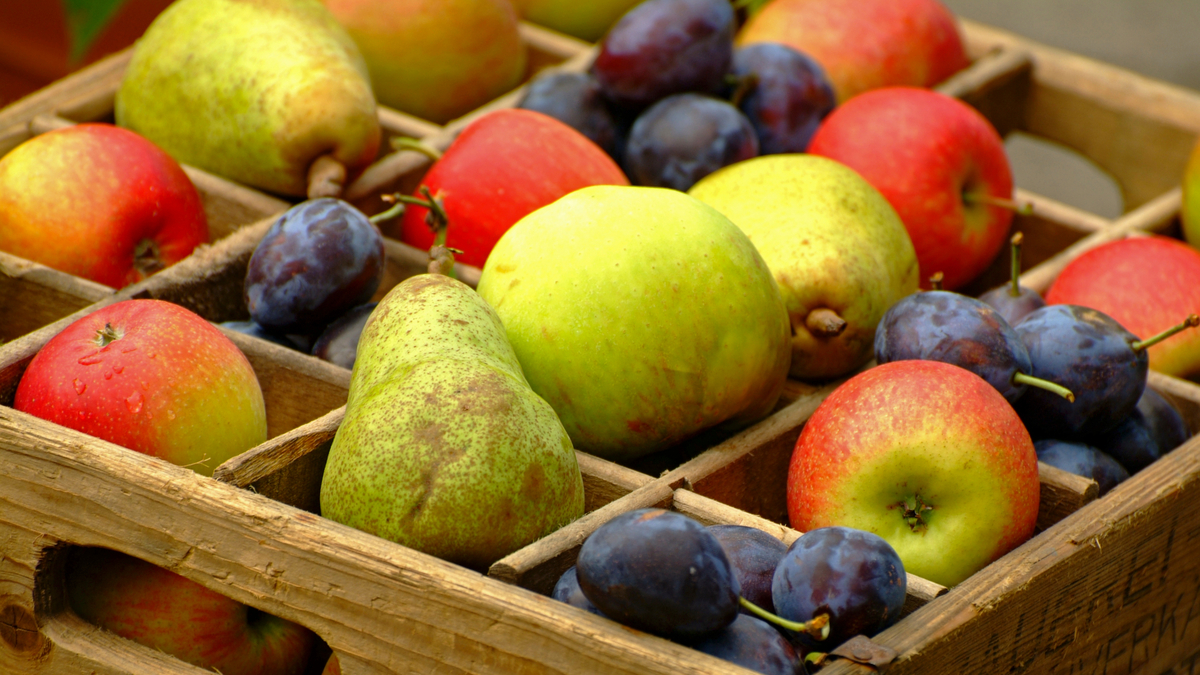Важная деталь: как сохранить яблоки, груши и персики до зимы