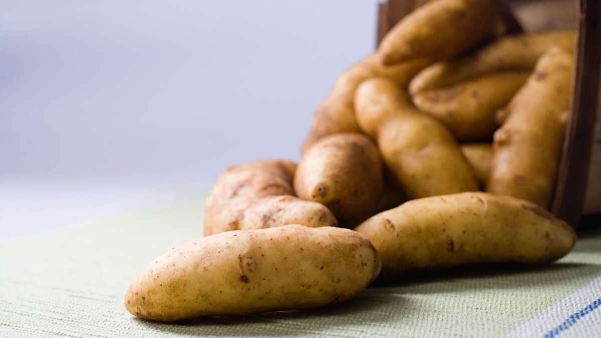 Увядшая картошка снова станет твердой: вот что нужно сделать с овощем