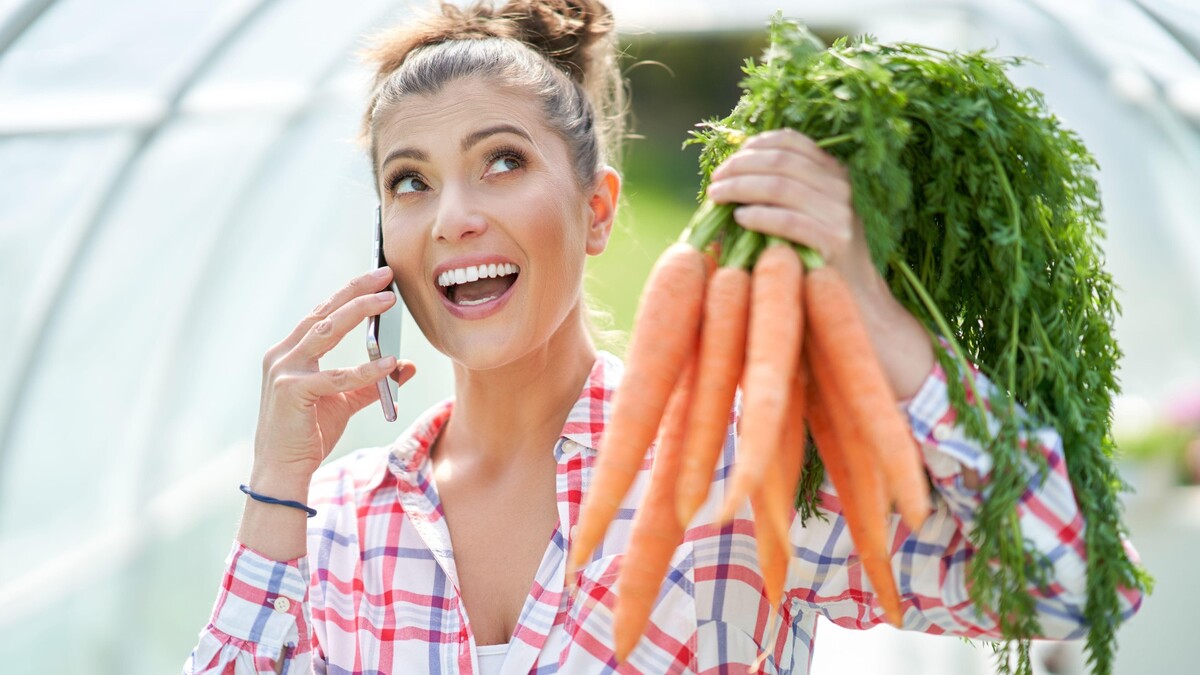 Забудьте о корявой и рогатой моркови: этот сорт всегда вырастает ровным
