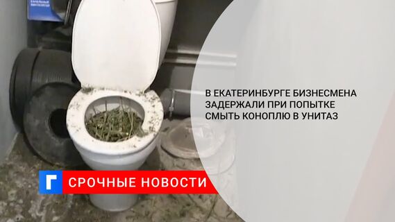В Екатеринбурге бизнесмена задержали при попытке смыть коноплю в унитаз 