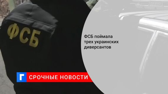 ФСБ поймала трех украинских диверсантов