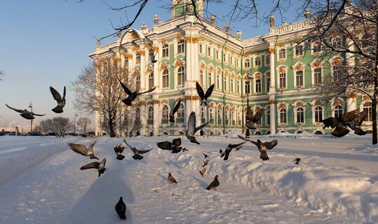 В Сети появилось разгромное исследование провалов Беглова, которые довели Петербург до снежного коллапса