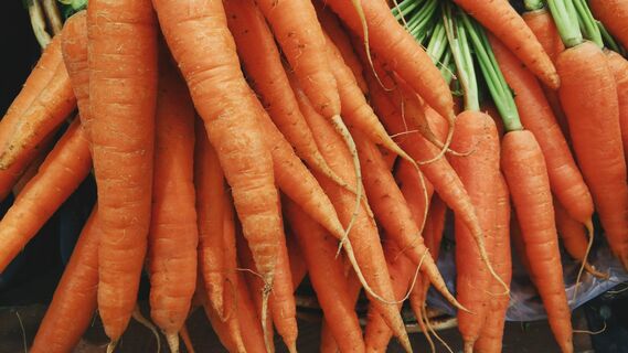 Морковь пролежит в холодильнике вдвое дольше: сделайте с ней вот что