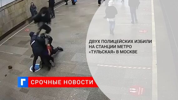 В московском метро на станции «Тульская» избили двух полицейских